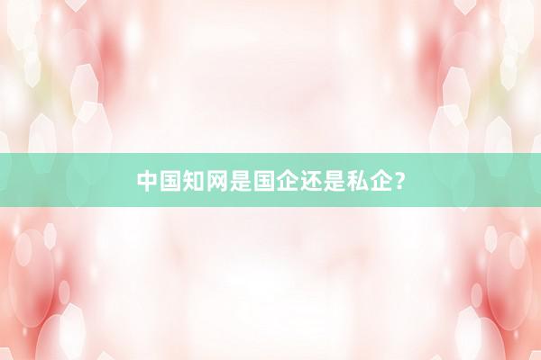 中国知网是国企还是私企？