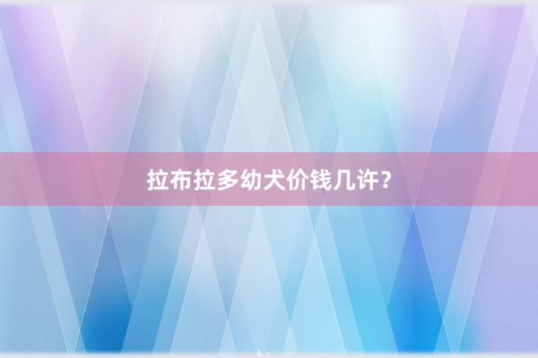 拉布拉多幼犬价钱几许？