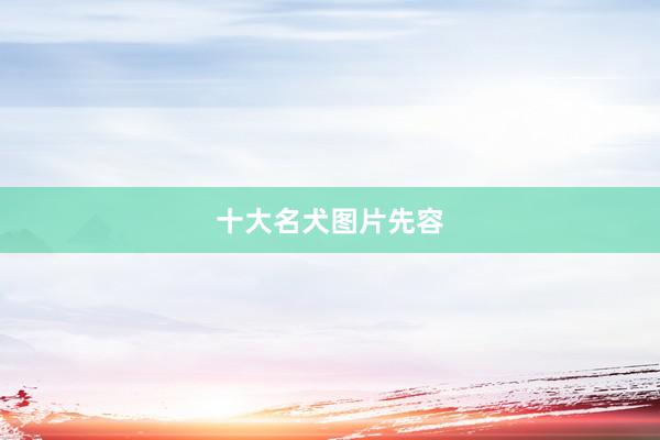 十大名犬图片先容