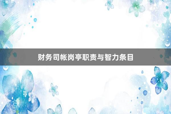 财务司帐岗亭职责与智力条目